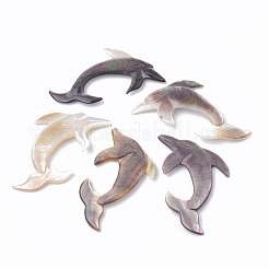Schwarz Lippe Shell Cabochons SSHEL-Q303-003
