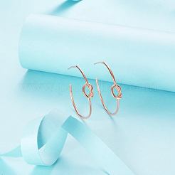 Shegrace 925 Ohrstecker aus Sterlingsilber JE532A