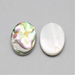 Paua Shell Cabochons SSHEL-R042-20
