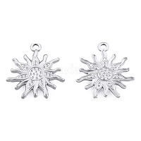 Подвески из нержавеющей стали 201&nbsp;STAS-N098-171P