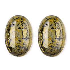 Natürliche Kräusel-Jaspis-Cabochons G-C028-04B