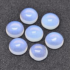 Opal cabochons G-P215-01-10mm