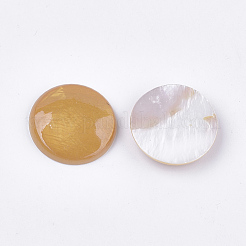 Sprühfarbe Süßwasser Muschel Cabochons SHEL-S276-09