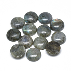 Natur Labradorit Cabochons G-T073-18-18mm