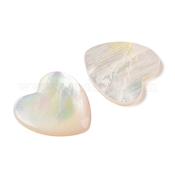 Natürliche weiße Muschel cabochons SSHEL-C012-20