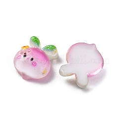 Cartoon-Cabochons aus transparentem Harz CRES-R459-01D