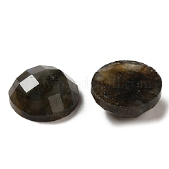 Natur Labradorit Cabochons G-L514-010