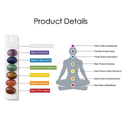 Chakra natürliche Selenit-Display-Dekorationen G-G973-10