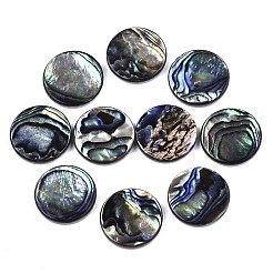 Natürliche Abalone Muschel / Paua Muschel Cabochons SSHEL-N034-72C-01