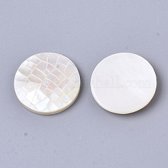 Natürliche weiße Muschel Perlmutt Muschel Cabochons SSHEL-N034-42