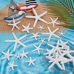 30 Stück 6 Stile opake Harz Meerestier Decoden Cabochons RESI-NB0002-07