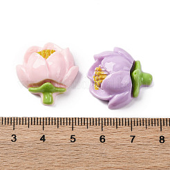 Undurchsichtigen Cabochons RESI-R455-01A