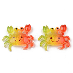 Rainbow Harzcabochons X-CRES-N024-40