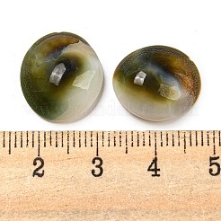 Muschel-Cabochons BSHE-Z005-08