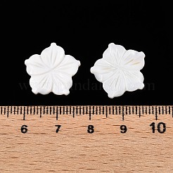 Natürliche geschnitzte Süßwassermuschel-Cabochons SSHEL-T017-03