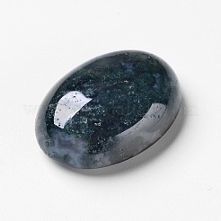 Natur Moos Achat Cabochons X-G-F296-09-18x25mm