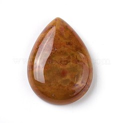 Natur Indien Achat Cabochons G-O176-01
