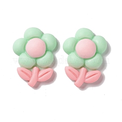 Undurchsichtigen Cabochons RESI-G031-15