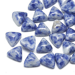 Natürliche blaue Fleck Jaspis Cabochons X-G-T025-10x10mm-15