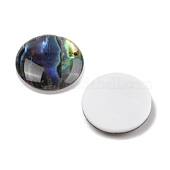 Natürlichen Muschel Cabochons SSHEL-I026-20C