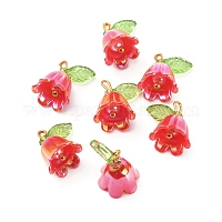 Подвески из непрозрачной смолы&nbsp;CRES-CJC0009-05G-08