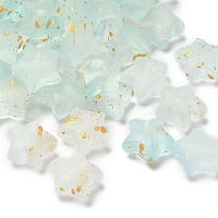 Прозрачные акриловые бусины градиентного цвета&nbsp;X1-OACR-M023-04I