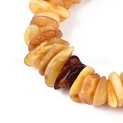 Браслеты из натурального янтаря с эластичными бусинами для мужчин и женщин&nbsp;BJEW-T018-21