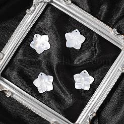 4 шт. подвески из натурального белого перламутра&nbsp;SSHEL-YW0001-10