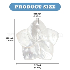 4 шт. подвески из натурального белого перламутра&nbsp;SSHEL-YW0001-10