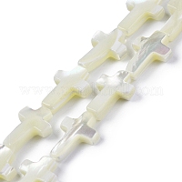 Нити бусин из натуральных трохоидных/трохус ракушек&nbsp;SSHEL-K027-06