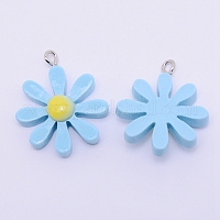 Подвески из смолы&nbsp;RESI-WH0009-67B