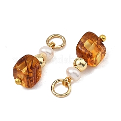 Подвески из натурального янтаря&nbsp;PALLOY-JF05557