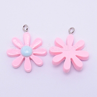 Подвески из смолы&nbsp;RESI-WH0009-67E