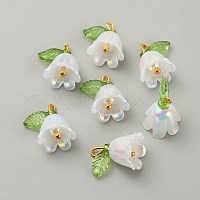 Подвески из непрозрачной смолы&nbsp;CRES-CJC0009-05G-09