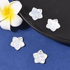 4 шт. подвески из натурального белого перламутра&nbsp;SSHEL-YW0001-10