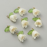Подвески из непрозрачной смолы&nbsp;CRES-CJC0009-05G-01