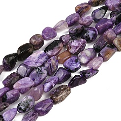 Естественно чароитовыми бисер пряди X-G-S301-13-01