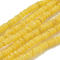 Окрашенные нити бусин из натуральных пресноводных ракушек&nbsp;BSHE-G039-07F