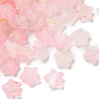 Матовые акриловые подвески&nbsp;OACR-M023-04J