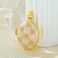 Латунь эмаль Locket подвески&nbsp;KK-F912-05A-G