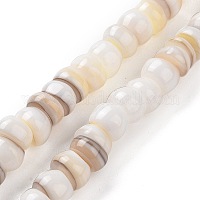 Нити из натуральных культивированных пресноводных ракушек&nbsp;SHEL-F002-01D