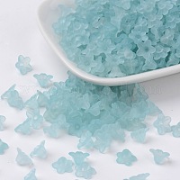 Прозрачные акриловые бусины&nbsp;X-PL554-11