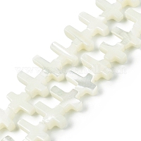 Нити бусин из натуральных трохоидных/трохус ракушек&nbsp;SSHEL-K027-03