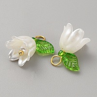 Акриловые подвески&nbsp;KY-TAC0009-03B