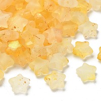 Матовые акриловые подвески&nbsp;OACR-M023-04K