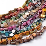 Brins de perles de coquillage naturel irrégulier, teinte, couleur mixte, 8x6~8mm, Trou: 1mm, environ 53 / pcs brins, 16 pouce