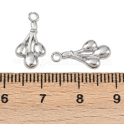 Obst 304 Edelstahl Charms&nbsp;STAS-H242-03P-05