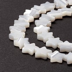 Natürliche Trochidschale / Trochusschalenperlen&nbsp;SSHEL-O001-25B-02