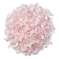 Natürlichen Rosenquarz Chip-Perlen&nbsp;G-YW0002-10