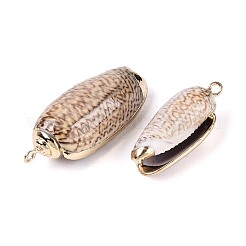 Galvanisierte Anhänger aus natürlichen Muscheln&nbsp;SSHEL-T018-04